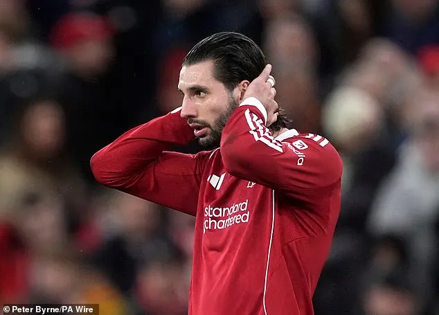 pg试玩-索博：我理解球迷的愤怒，但请你们依然站在我们身后